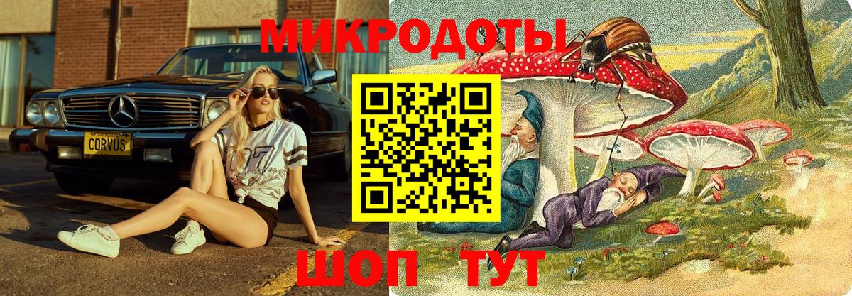 Усолье-Сибирское  Псилоцибиновые грибы MAGIC MUSHROOMS  Псилоцибиновые грибы Cubensis  Вход с VPN 